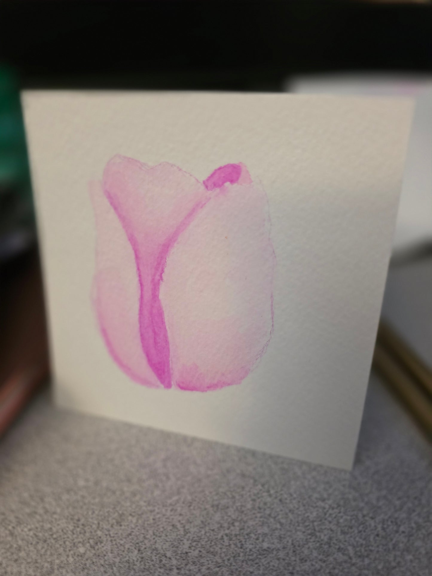 Cerise | Original Tulip Painting | 4x4 Watercolor